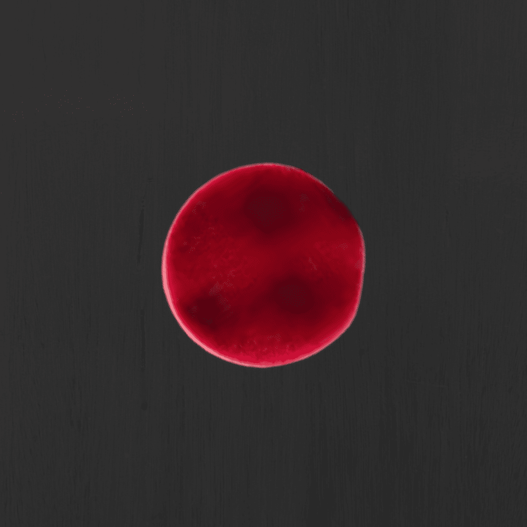 CNP Punainen Kiillotuslaikka 75 mm – Karkea (Aaltoileva)*